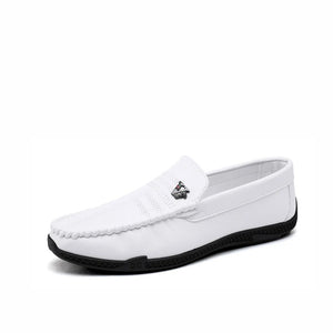 Men's Casual Fashion Shoes
